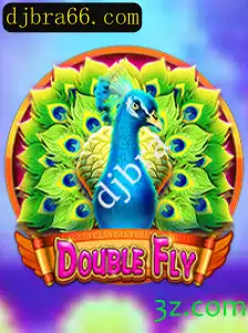 Explorando o Fascinante Mundo de DoubleFly: Um Guia Completo